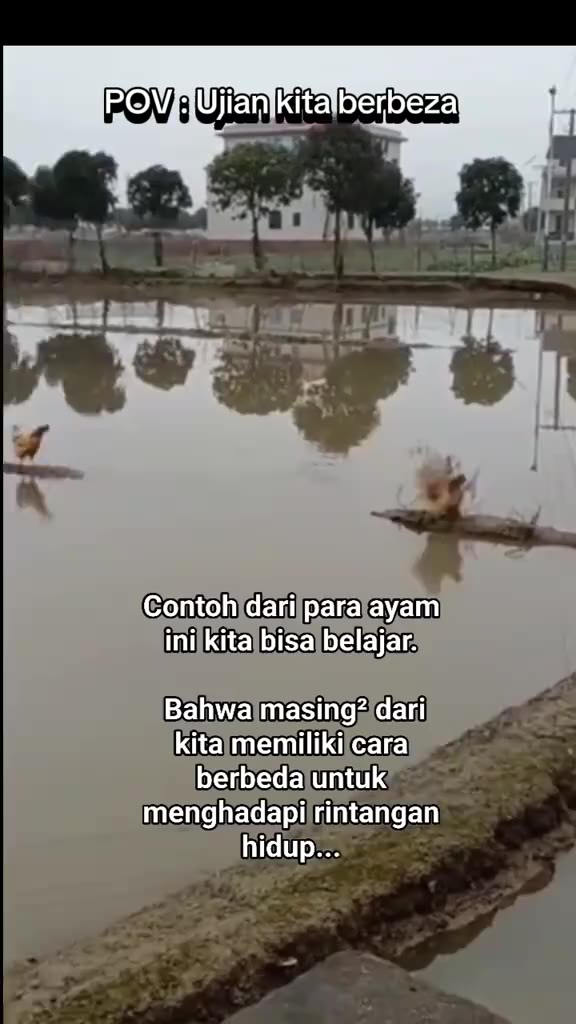 cara kita berbeza #fyp #viral #fyppppppppppppppppppppppp #pakmatwestern #ujian