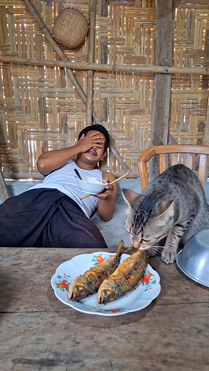 Cat do anything for Food 😂😂😂🤣🤣🤣🤣😂🤣😂🤣😂🤣 #funnycat #funnyvideo #catvsfood #usa🇺🇸 #fyp
