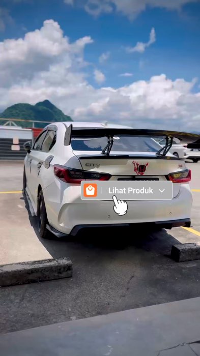 Spoiler Wing