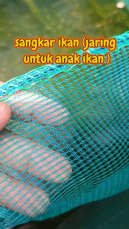 #sangkar #jaring #ikan #anakikan #net #shopeehual #shopeelagimurah