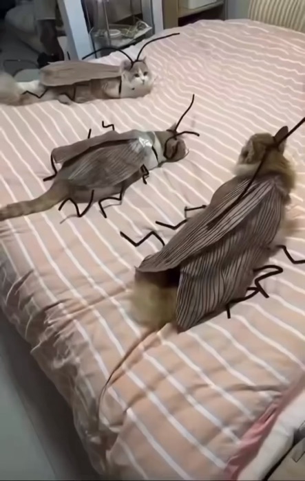 OMG 😱