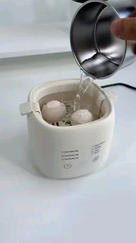 #eggboiler #Steamer #ElectronicsZone