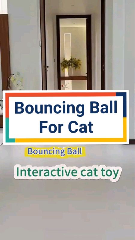 #catlover #kitty #interactive #toys #rubberball#kucinglucu #fyp #cat