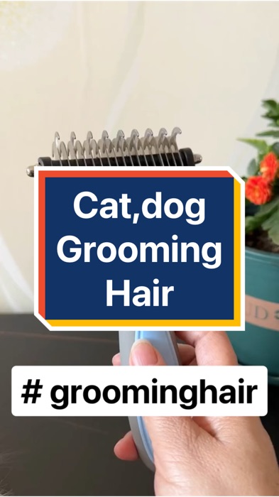 #groominghair #cat #kucing #dog #rumah #Home #indoor #outdoor #video #viral #videoviral #Double #side #pet #deshedding #brush #knot #remo #hair #comb