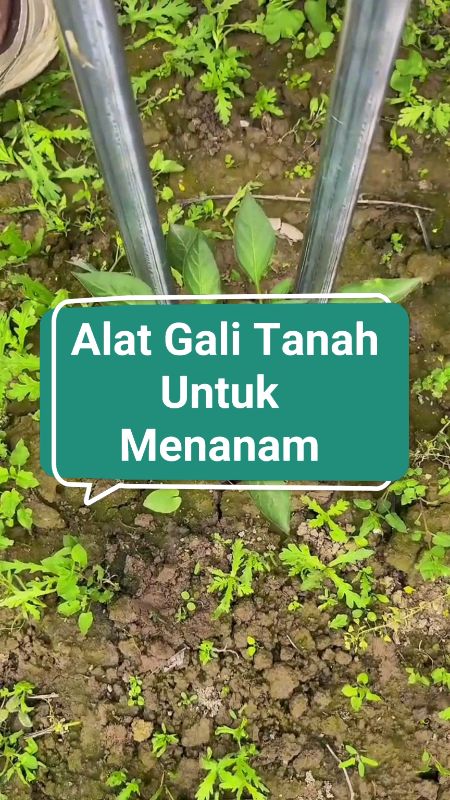Tanam pokok lebih mudah guna alat gali tanah cepat & kemas, sesuai untuk kebun rumah! #seedlingmove #gardentools #tanaman #gardeningtools #galitanah