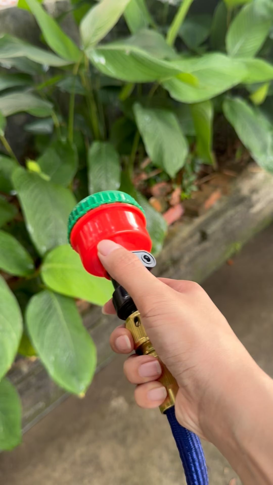 Nozel Penyiram Anak Benih, Aliran Lembut Tidak Rosak Anak Pokok#NozelPenyiram #AlatTaman #GardenMY #ShopeeMY